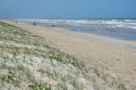 rio nude beaches|Praia do Abricó, Brazil ‣ Nude Beach Map